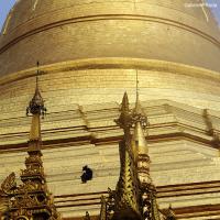 Prière dorée à Shwedagon